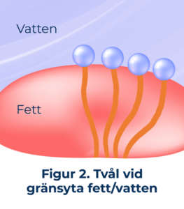 figur2 tvål vid gränsyta fett/vatten