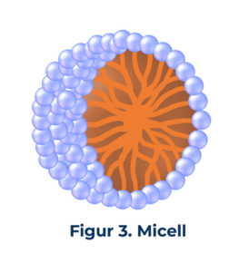 figur3 Micell