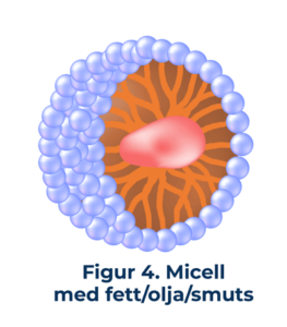 figur4 Micell med fett/olja/smuts